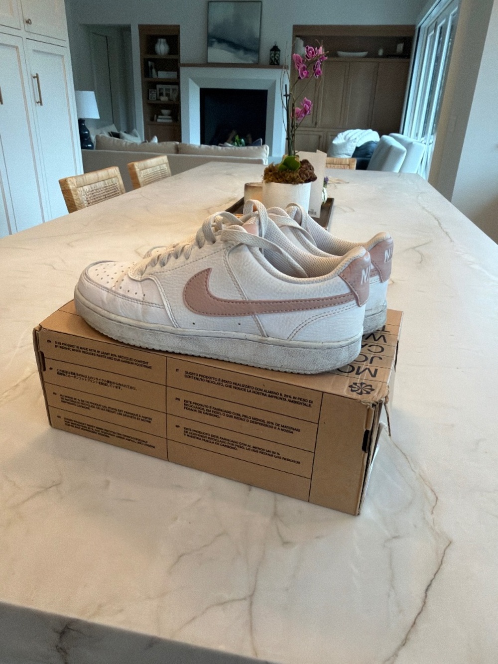 Nike Court Vision Lo Sneakers